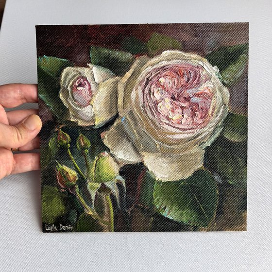 Pink roses still life