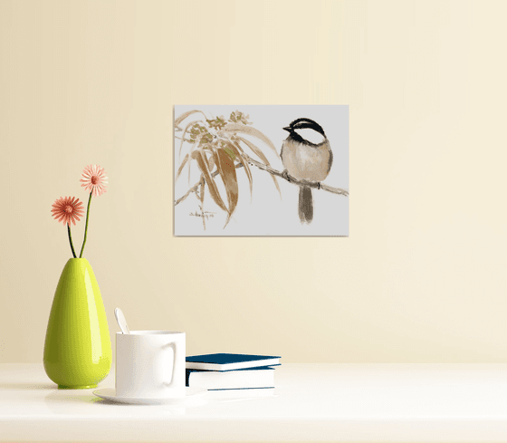 Mountain Chickadee