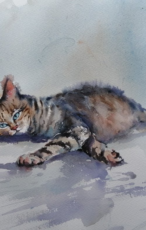 lying cat 6 by Giorgio Gosti