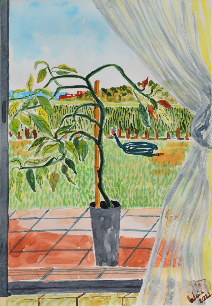 Window view with Avocado tree by Kirsty Wain