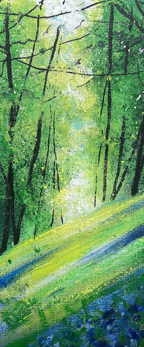 Seasons - Spring Light across Bluebell bank by Teresa Tanner