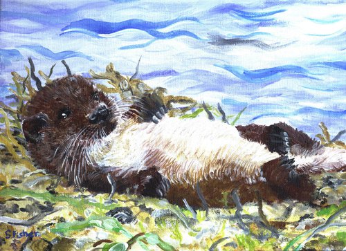 wave of content; otter by Sandra Fisher