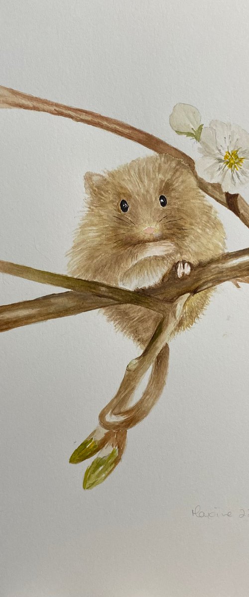 Mouse on branch by Maxine Taylor