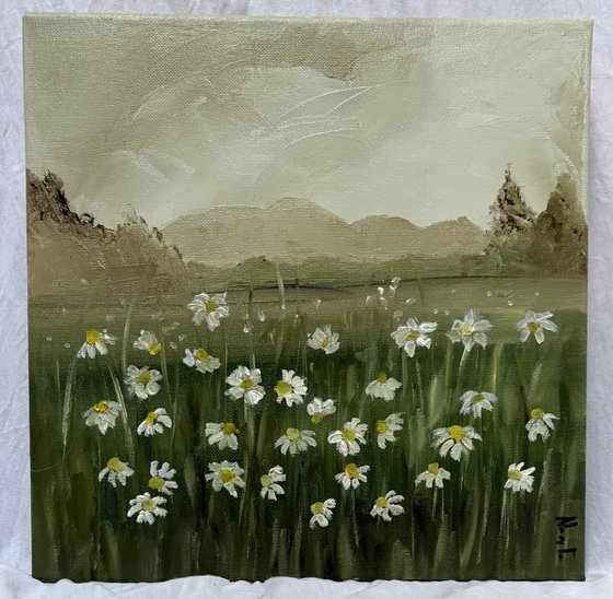 Wild daisies meadow on ochres horizon