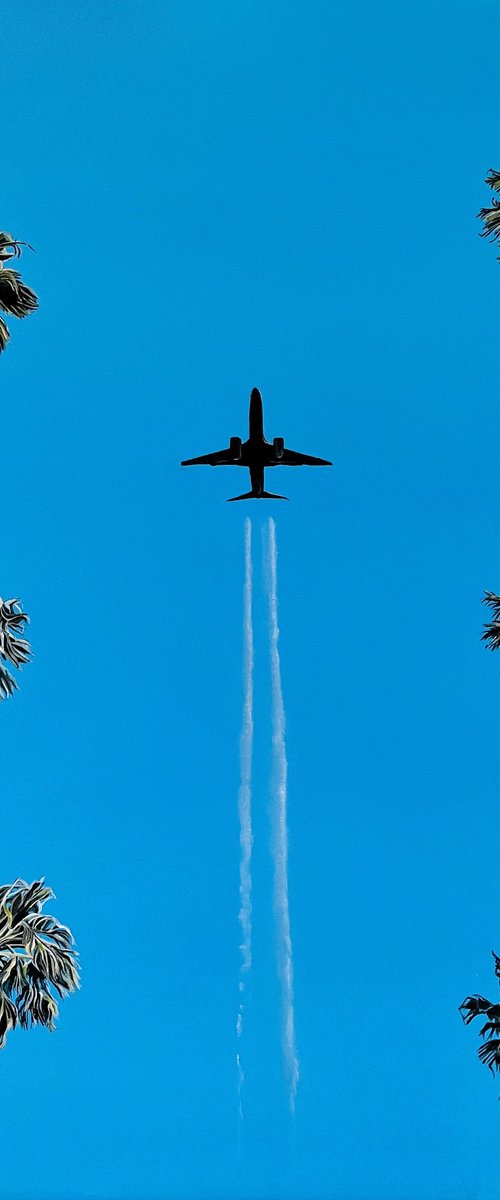 Flying High by Victoria Obolensky