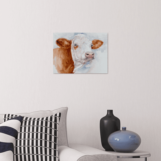 Hereford Cow _Hetty