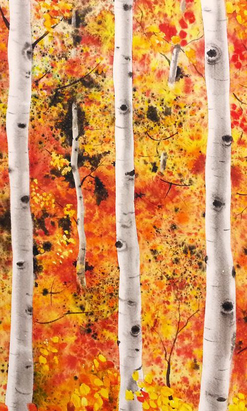 Aspen Grove in Fall  - aspen l by Olga Beliaeva Watercolour