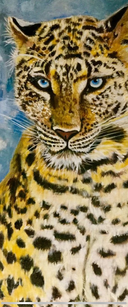 Leopard . Blue eyes. by Olga Koval