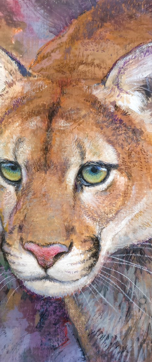 Cougar by Gabriel Hermida