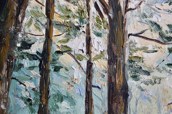 Sunlight through the Pines