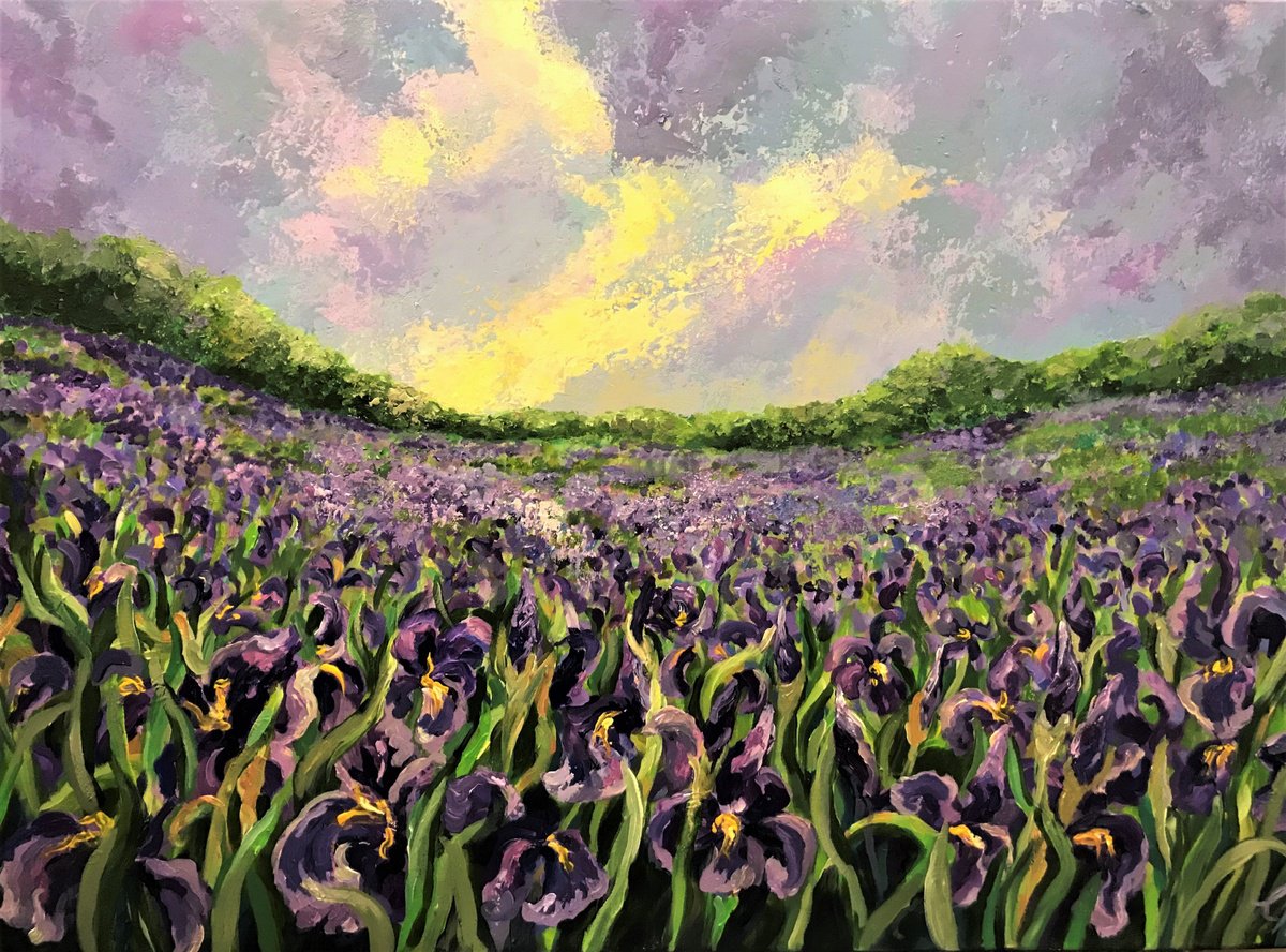 Field of Irises by Colette Baumback