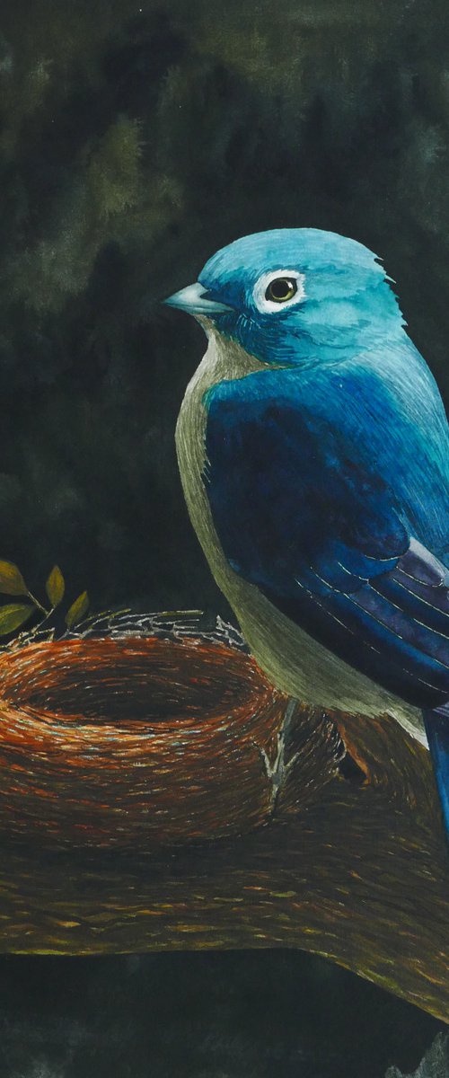 The bird with the nest by Karina Danylchuk