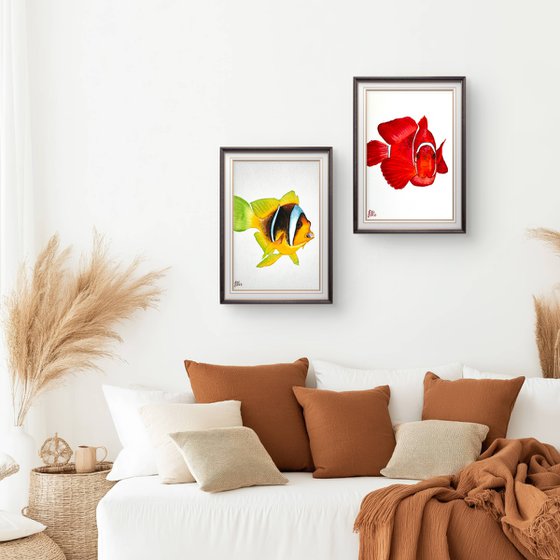 Exotic Yellow Red fish