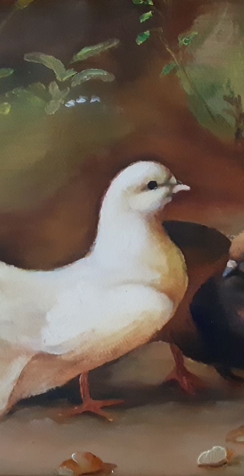 doves by Viktória Déri