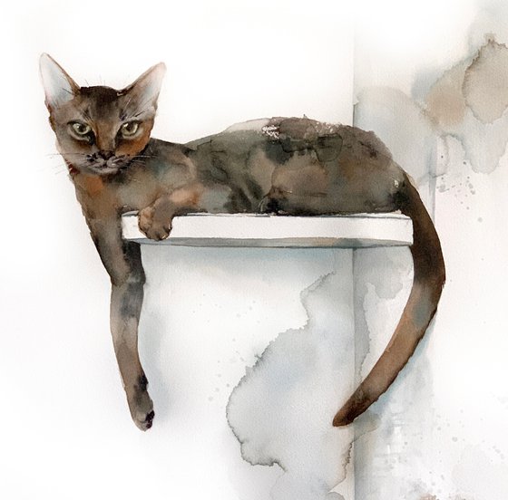 Abyssinian Cat Painting - Perfect Place