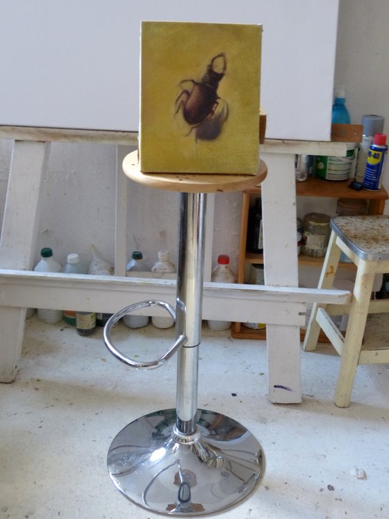 Scarabe, oil on canvas, 27x22 cm