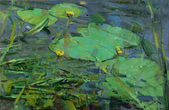 "River lilies"