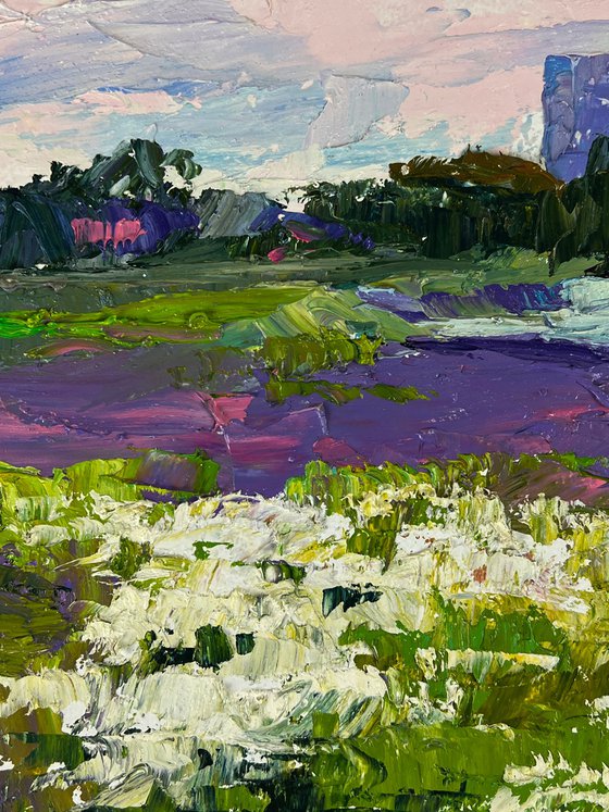 Meadows of Growing Flowers