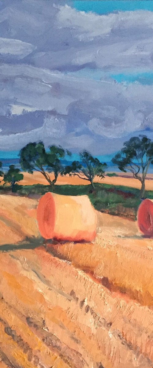 'Between St Andrews and Anstruther, Fife' by Stephen Howard Harrison