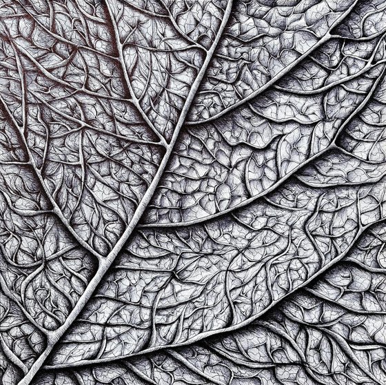 THE SOUL OF A LEAF