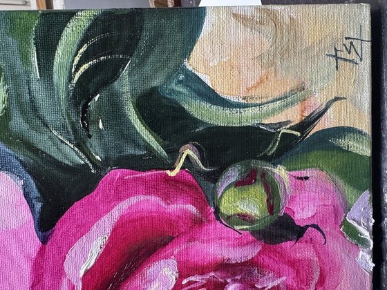 Sensual Peonies