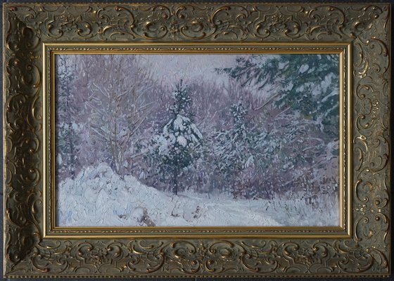 Snow-covered pine trees in Kuzminki Park