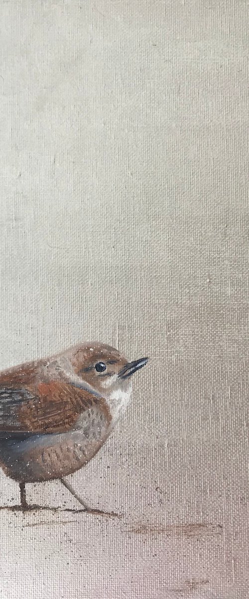 Little Wren ~ on silver by Laure Bury