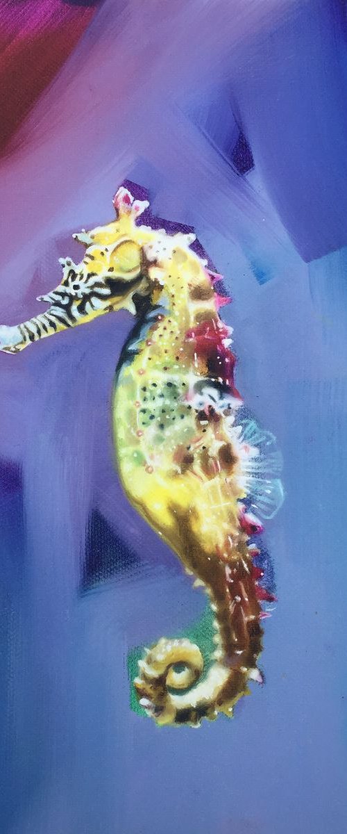 Seahorse by Jessica Bleasby
