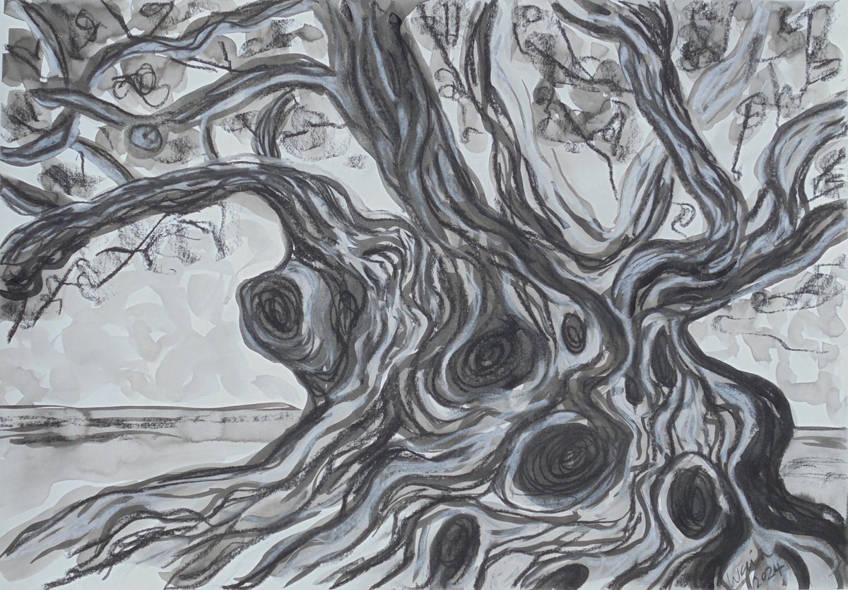 Expressive Landscape Ink Drawing By Kirsty Wain, 23 X 17", Olive Tree Of Antiquity, Original Artwork