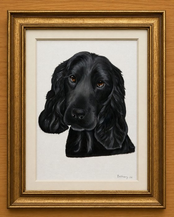 Soulful Eyes