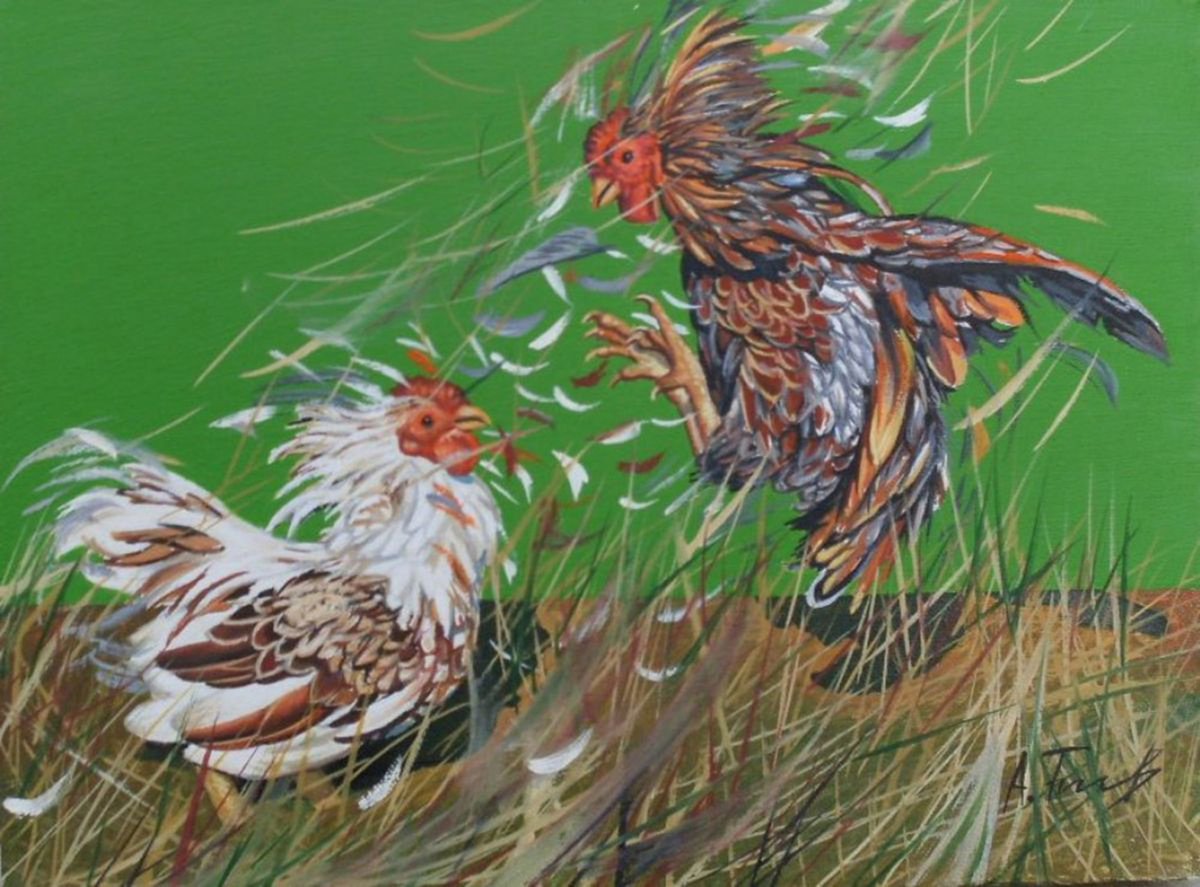 Photorealistic Animal Oil Painting By Alexander Titorenkov, 9 X 7, Cockfight 2, Original Artwork