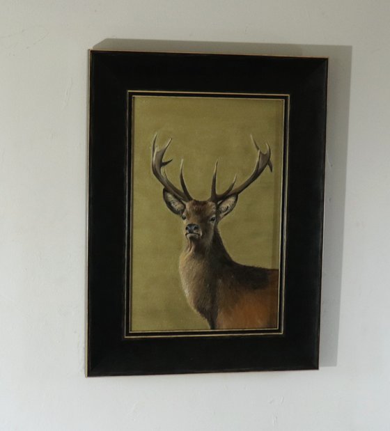 Stag on a Sky of Gold