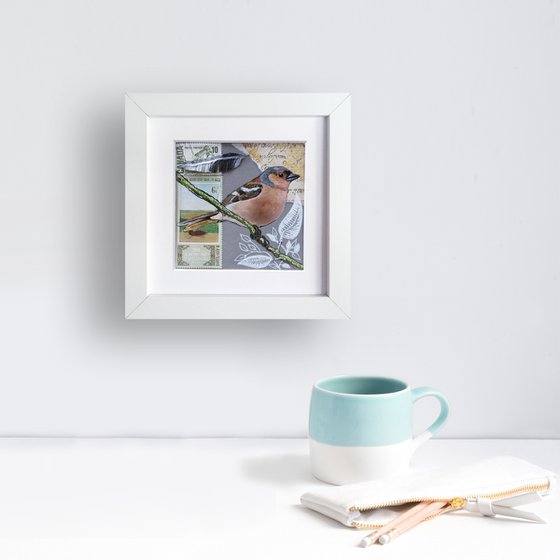 The chaffinch feather  (framed and ready to hang)