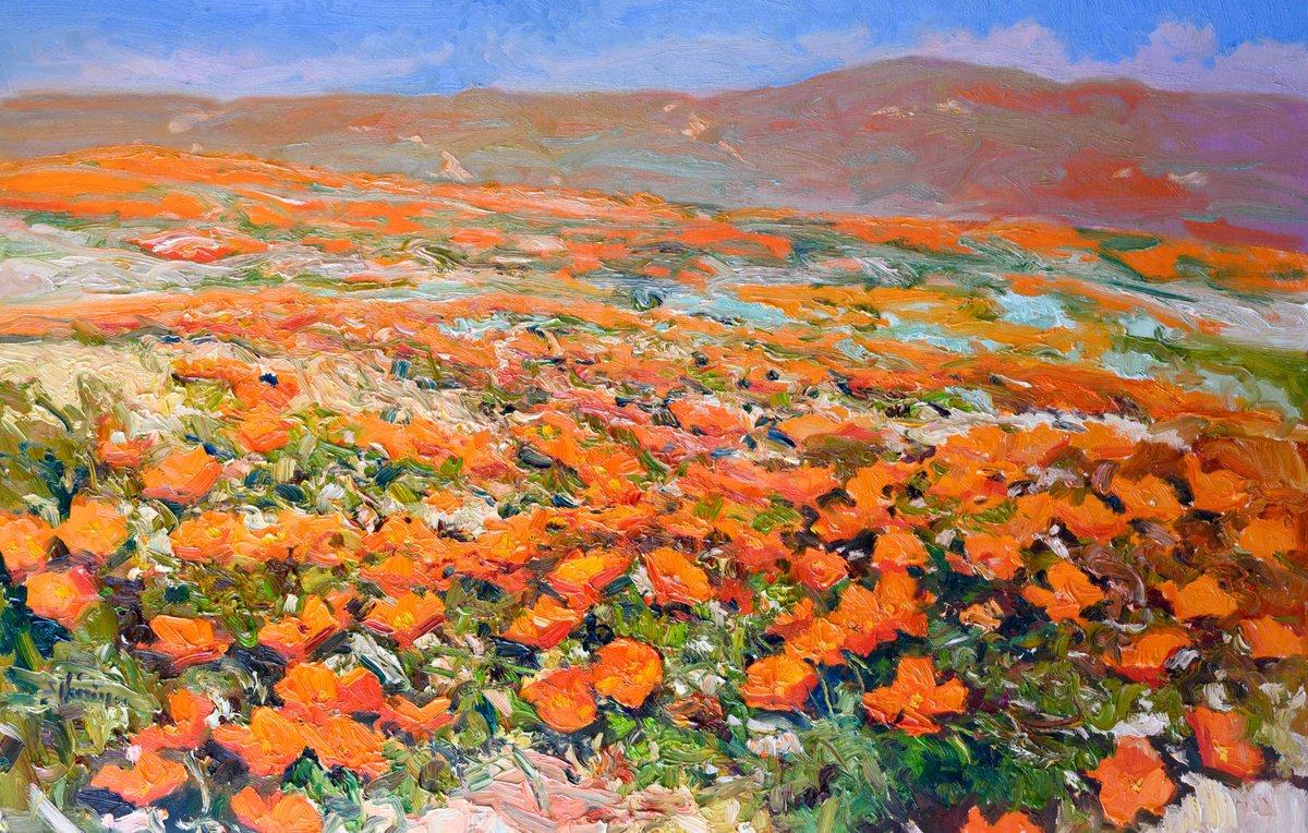 Antelope Valley, Golden Poppies By Suren Nersisyan, 48 X 30, Artwork For Sale On Artfinder