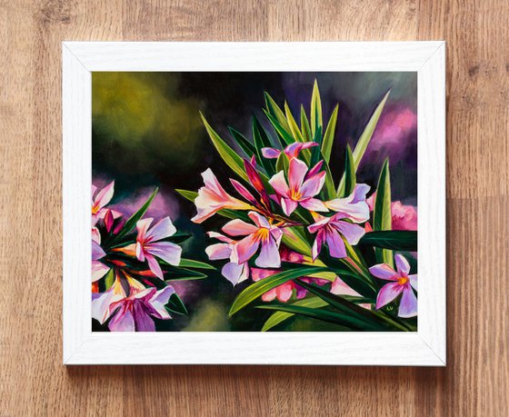 Pink oleander flowers in sun