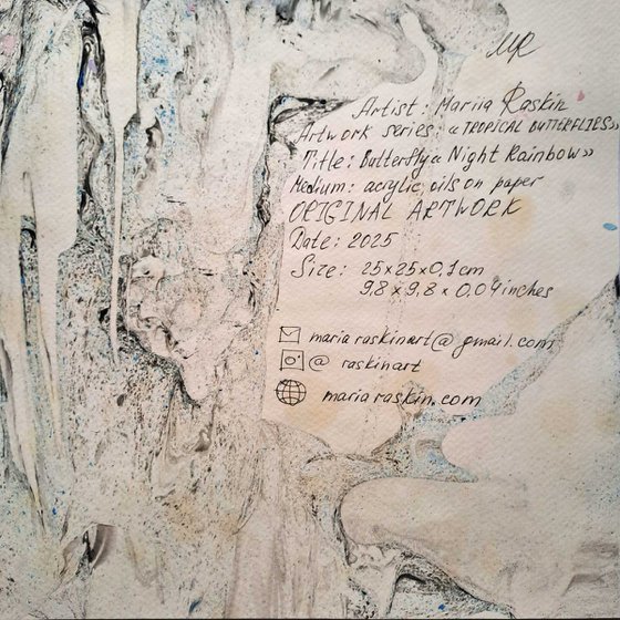 Butterfly «Night Rainbow»