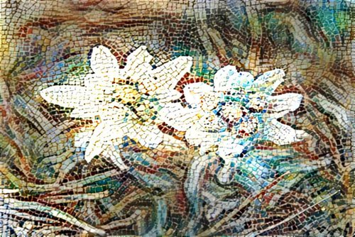edelweiss by Danielle ARNAL
