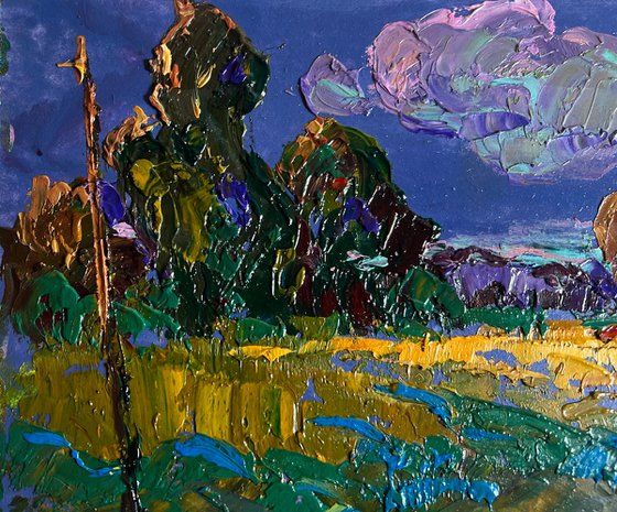 Evening rays of the sun