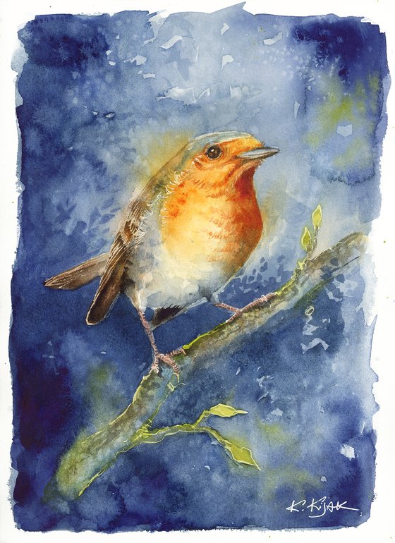 Robin, wildlife, birds watercolours