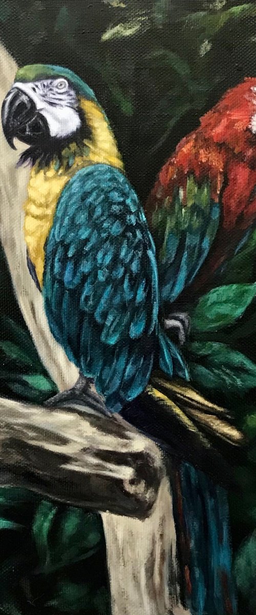 Parrots in the Jungle by Marina Deryagina