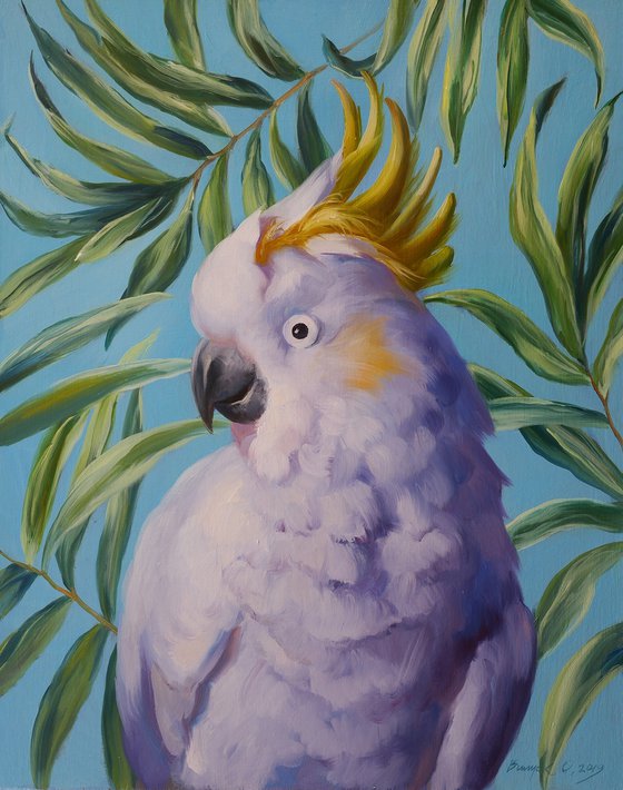 "White Cockatoo"