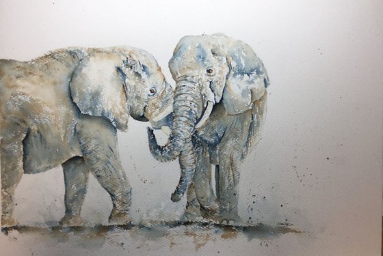 Elephants #2