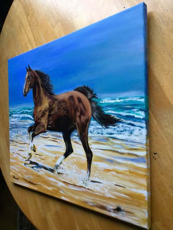 Galloping horse .  Freedom . On sale.