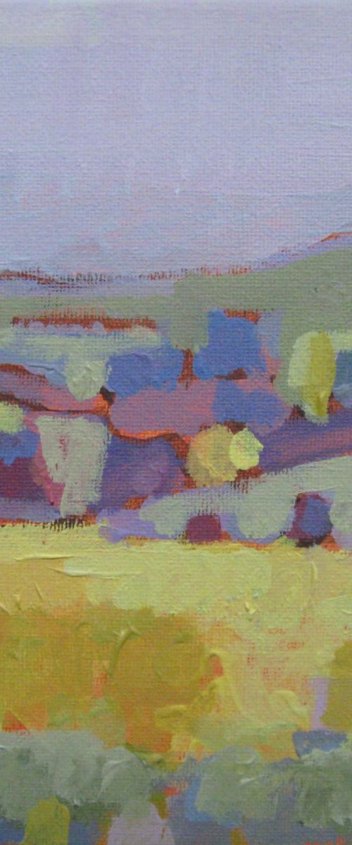 LANDSCAPE (SUMMER 5) by LENKA STASTNA