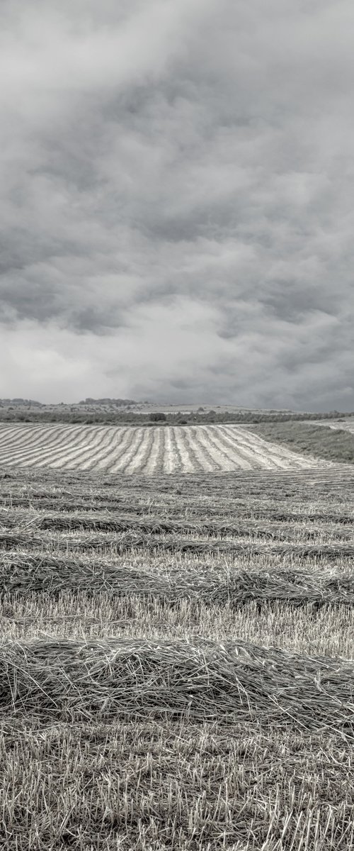 Countryside by Lidiya Dmitrieva