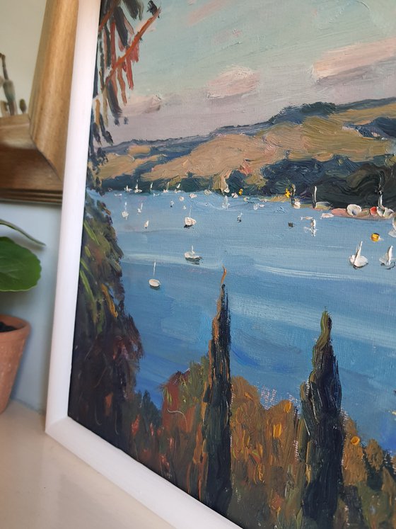 Salcombe Estuary from Overbeck's