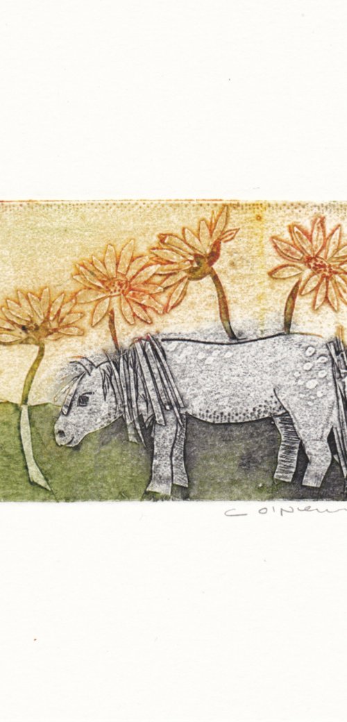 Pony amongst the Sunflowers by Catherine O’Neill