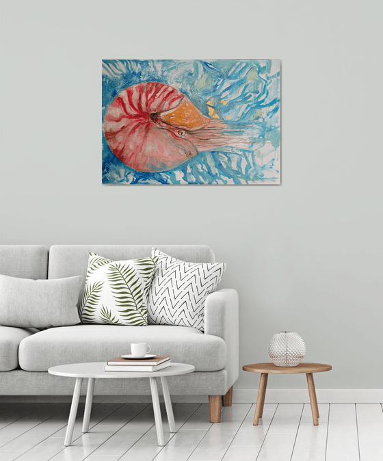 Nautilus Pompilus