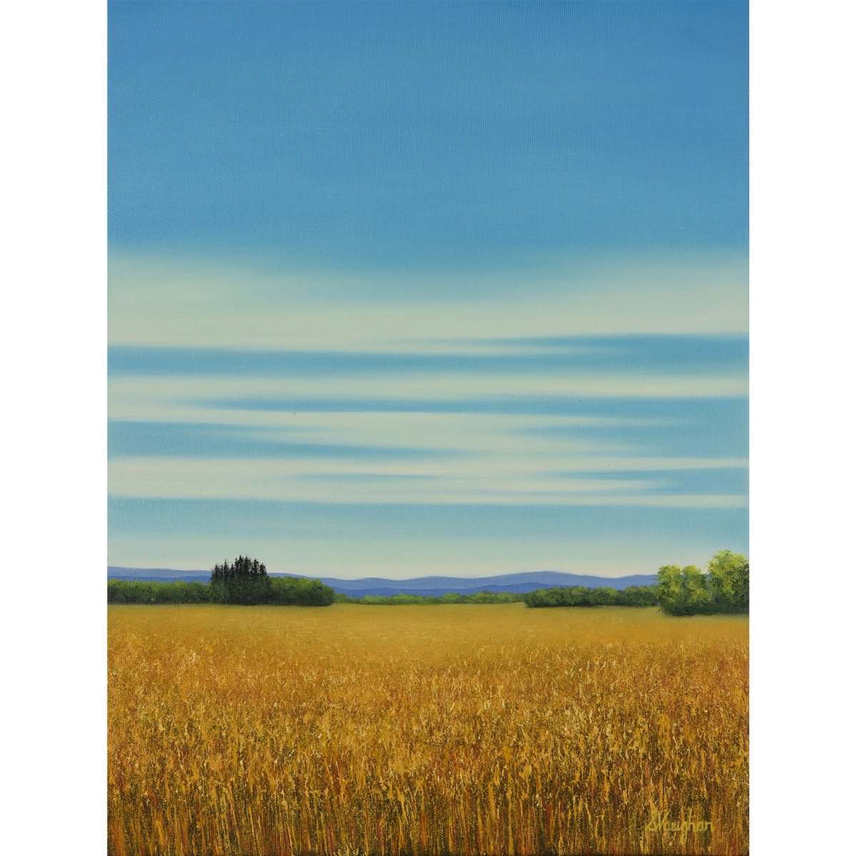 Impressionistic Landscape Oil Painting By Suzanne Vaughan, 12 X 16", Harvest Wheat - Blue Sky Landscape, Original Artwork