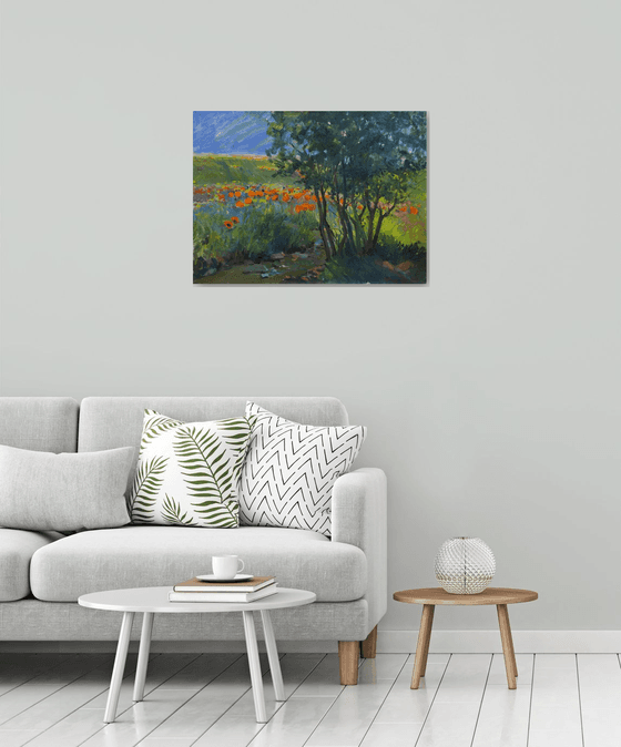 Summer Meadow Reflections